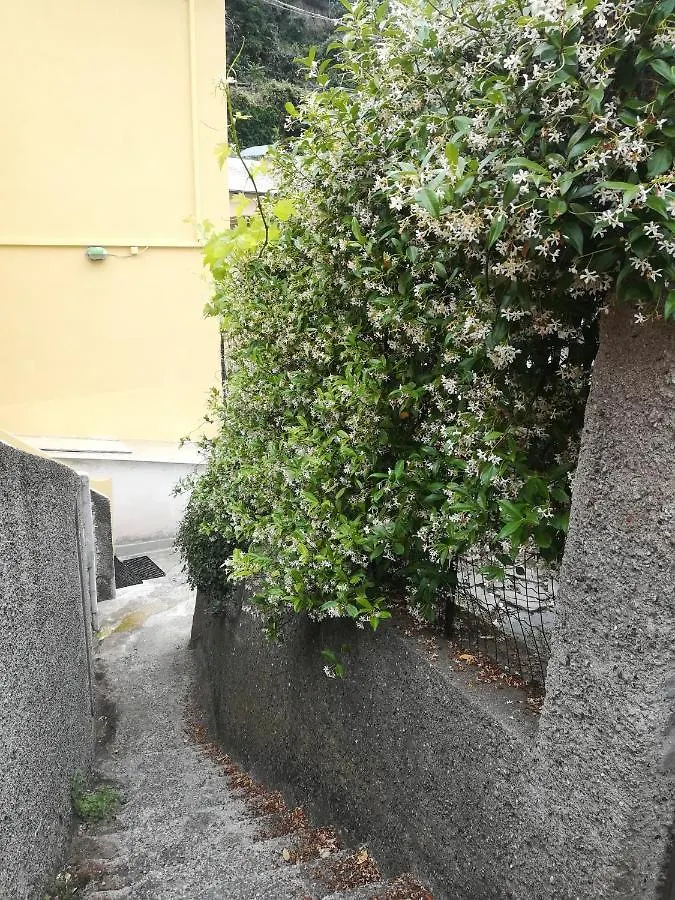 Affittacamere Le Oche Riomaggiore Guest house